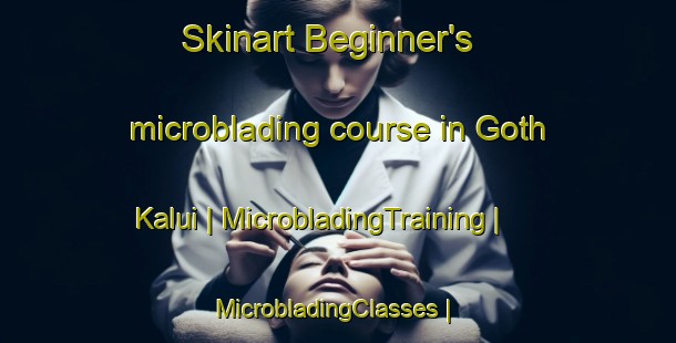 Skinart Beginner's microblading course in Goth Kalui | MicrobladingTraining | MicrobladingClasses | SkinartTraining-Pakistan